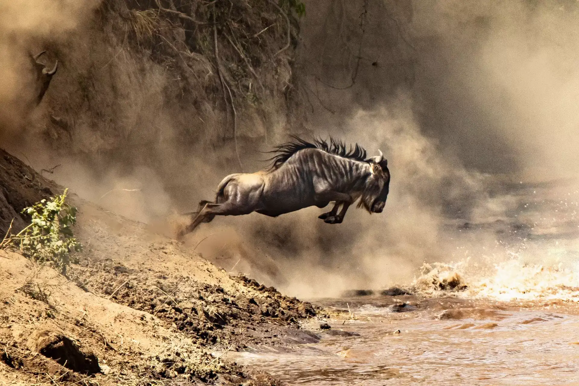 tanzania safari tours