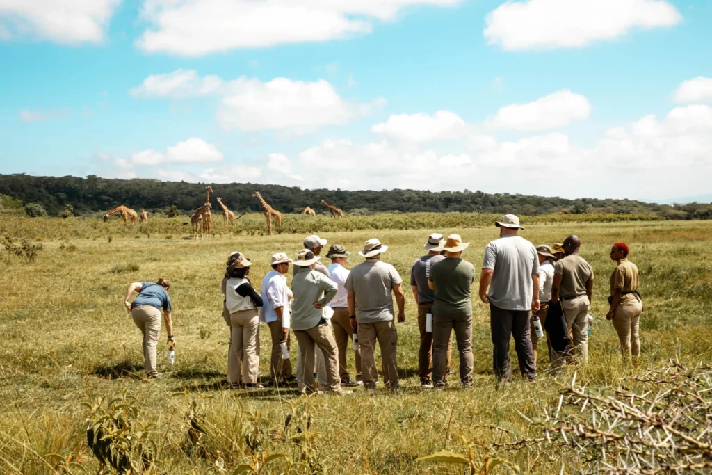 what to wear on safari​
