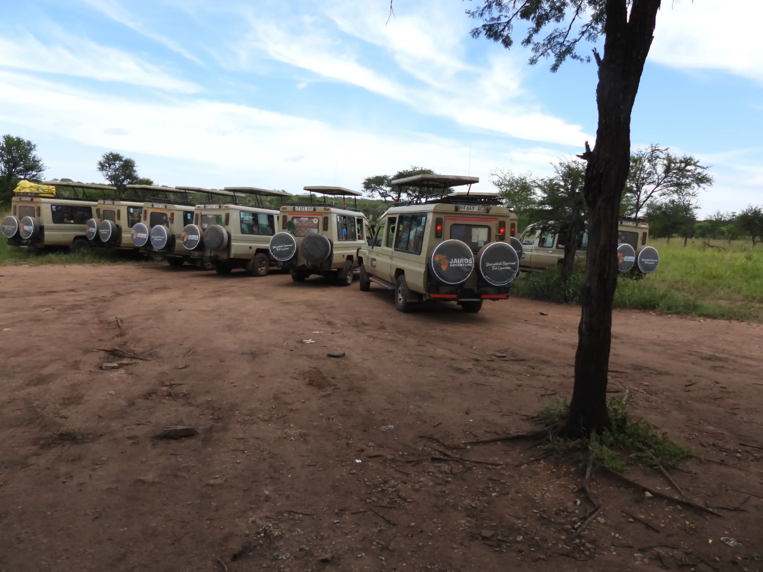 Tanzania group joining Safari