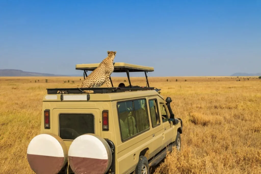 safari Tanzania