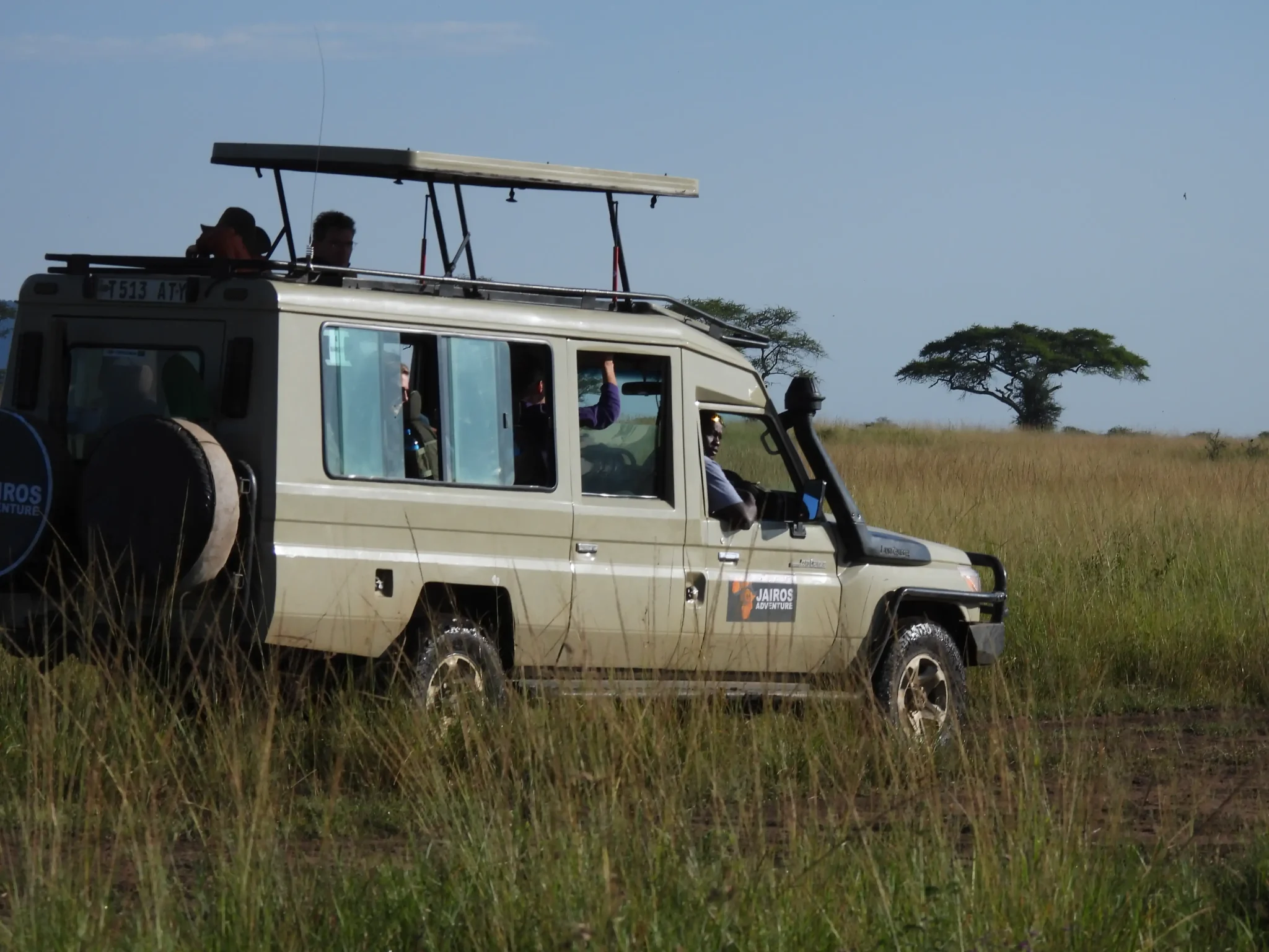 Serengeti Safari