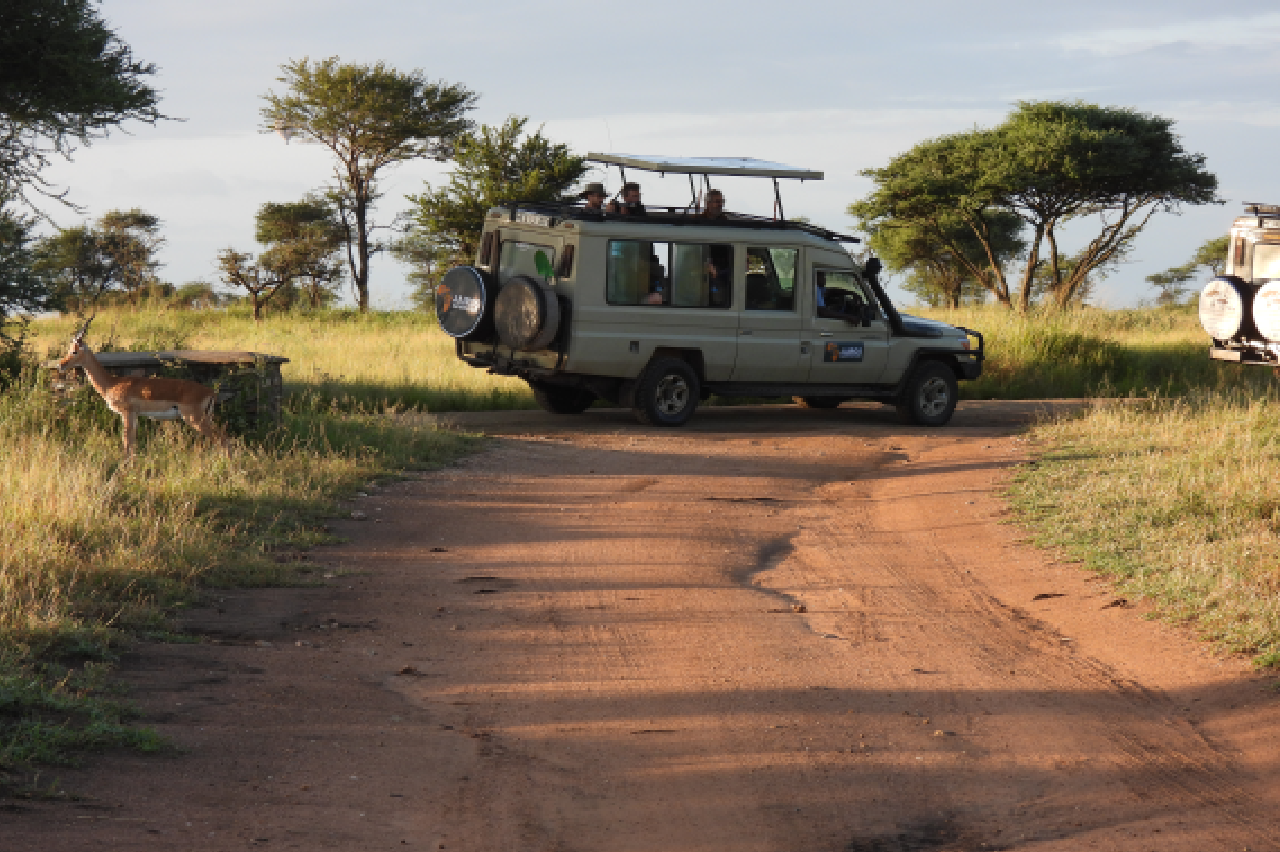 Tanzania Safari Tours