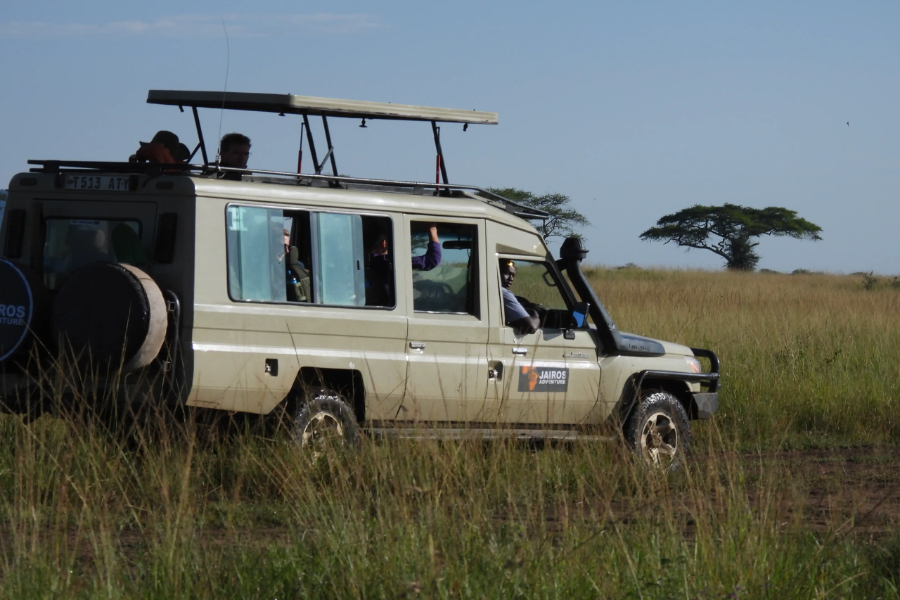 Safari Image 1