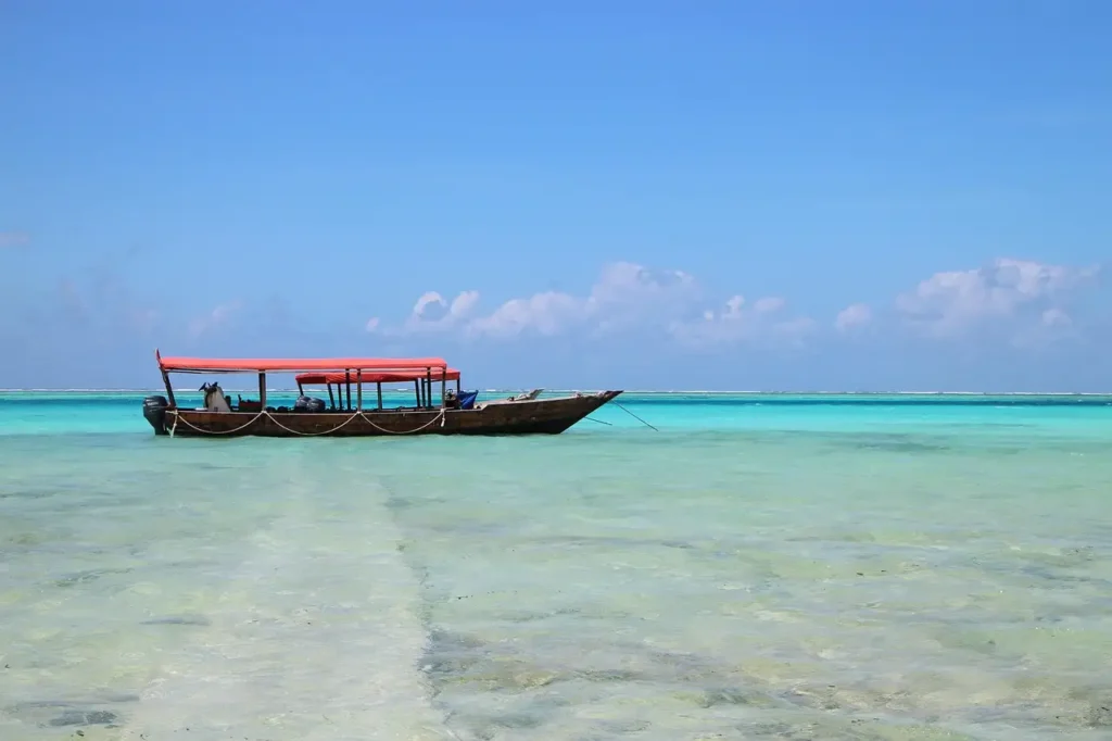 Zanzibar safari