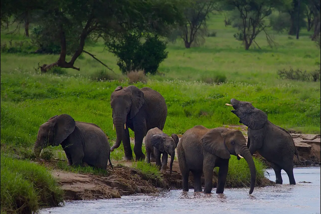 3 Day Culture Safari Tanzania