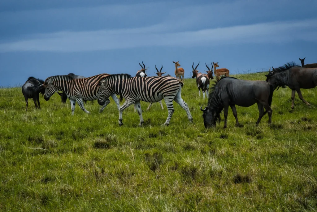 Trip to Tanzania Africa