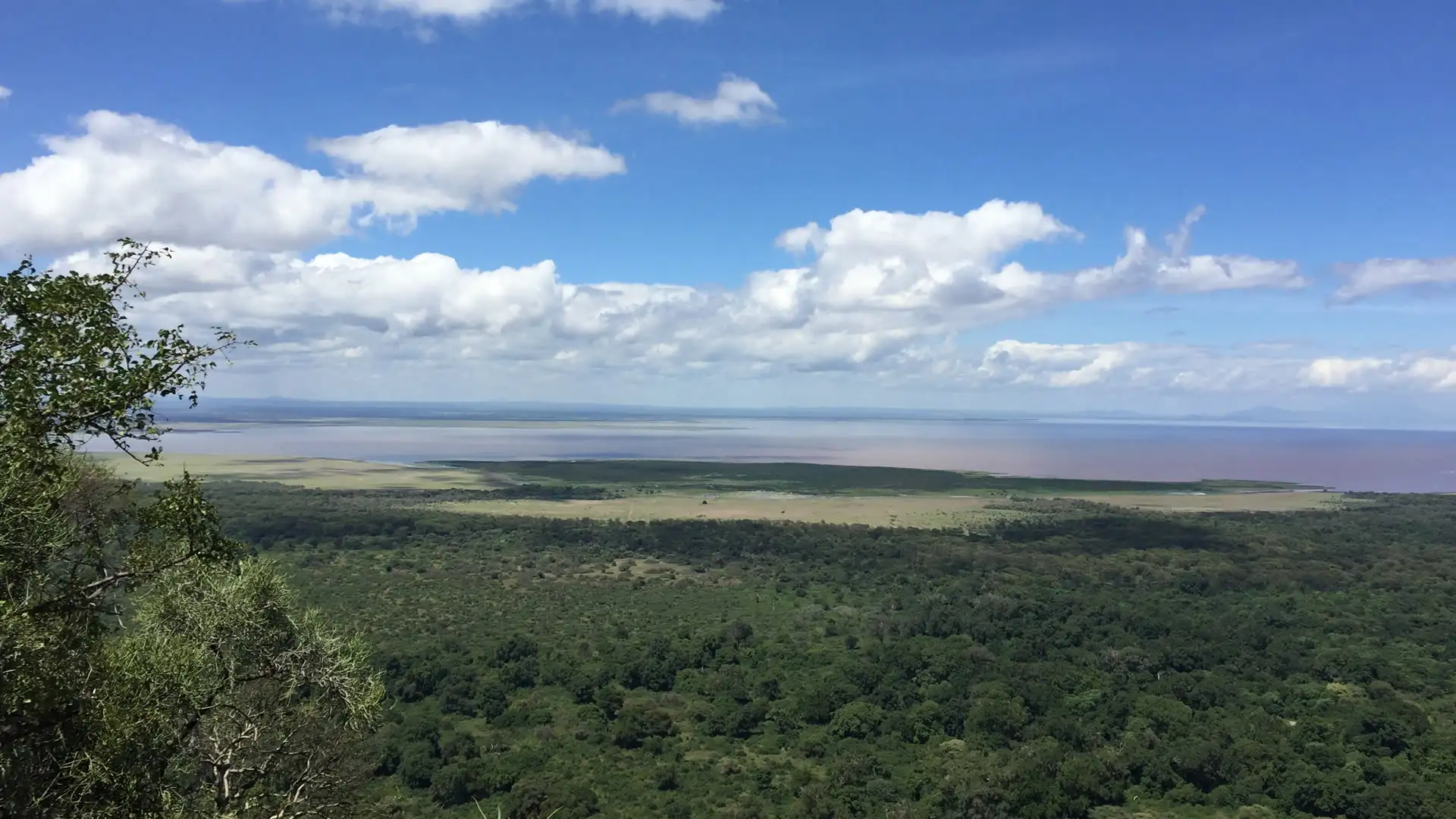 Lush landscape under a blue sky