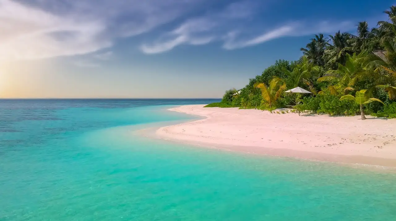 zanzibar beach experience