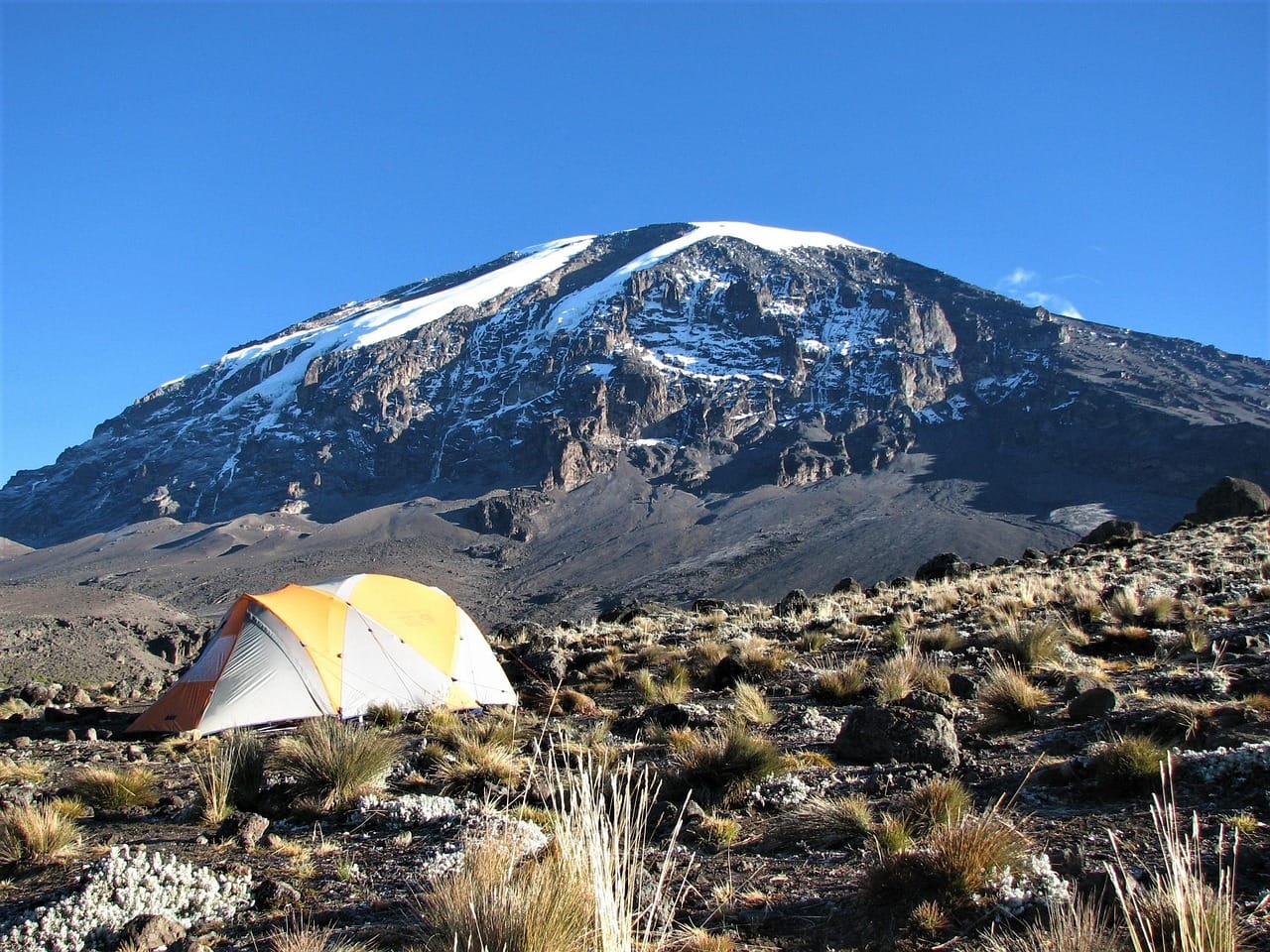 Kilimanjaro group
