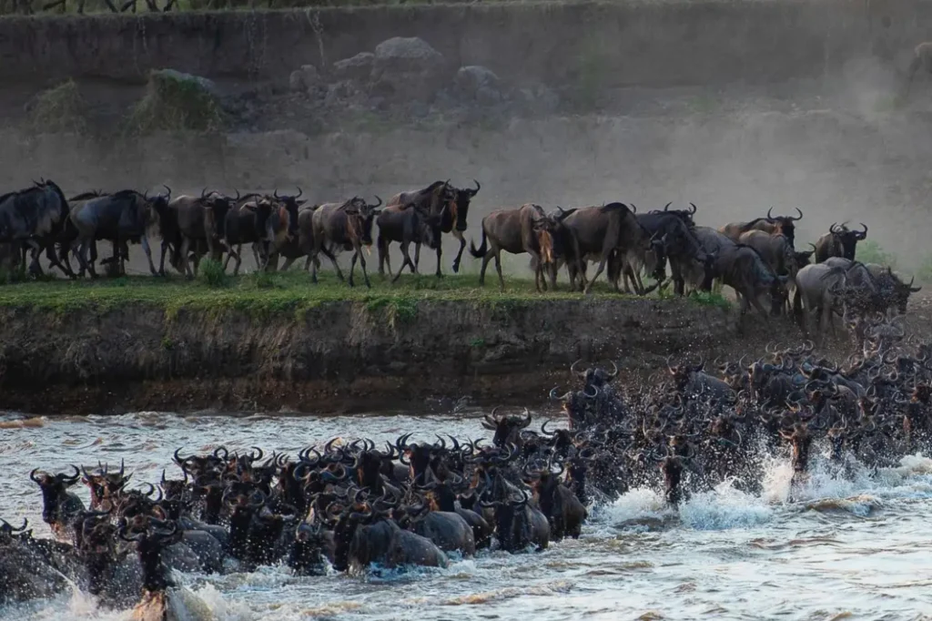 Is Tanzania Safe for Tourists