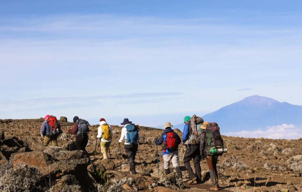 kilimanjaro animals